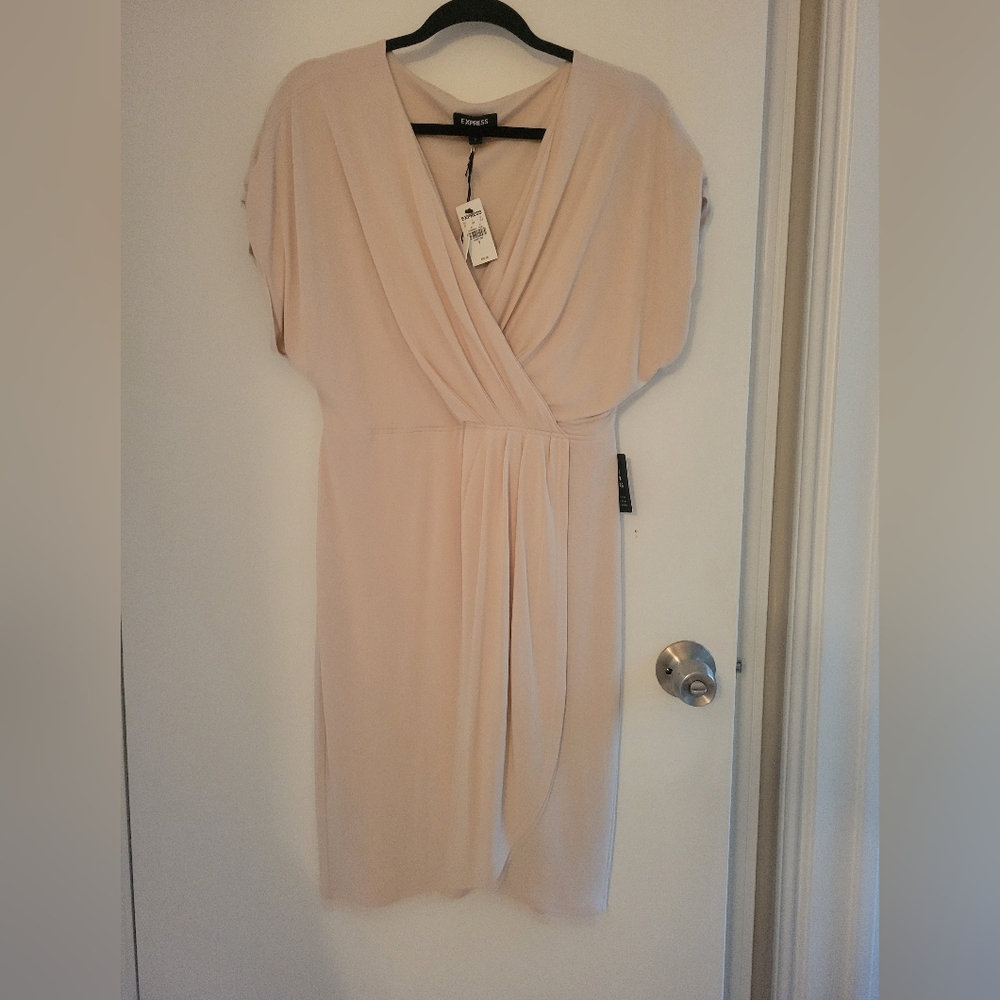 Express knit dress